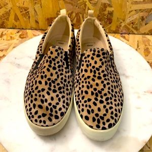 Gap Leopard Cheetah Slip On Women's Size 7 (Fits Like A 8) Slip On Casual Shoe